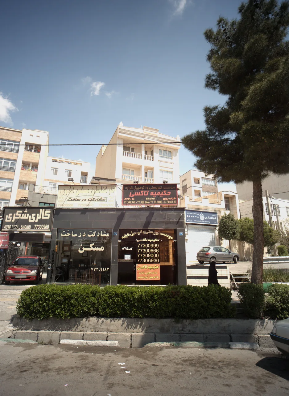 کارشناسان مسکن شکری