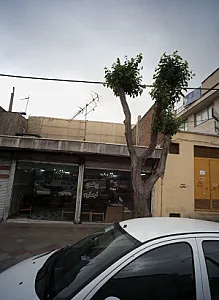 مشاور املاک