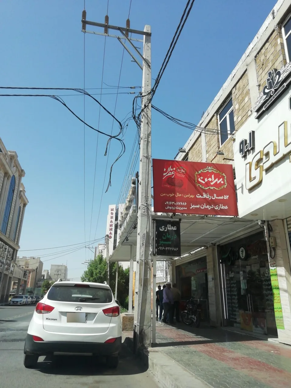 سنگک ساقه طلایی - تصویر 3