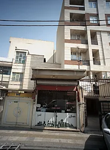 مسکن امیر