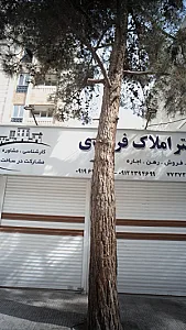 دفتر املاک