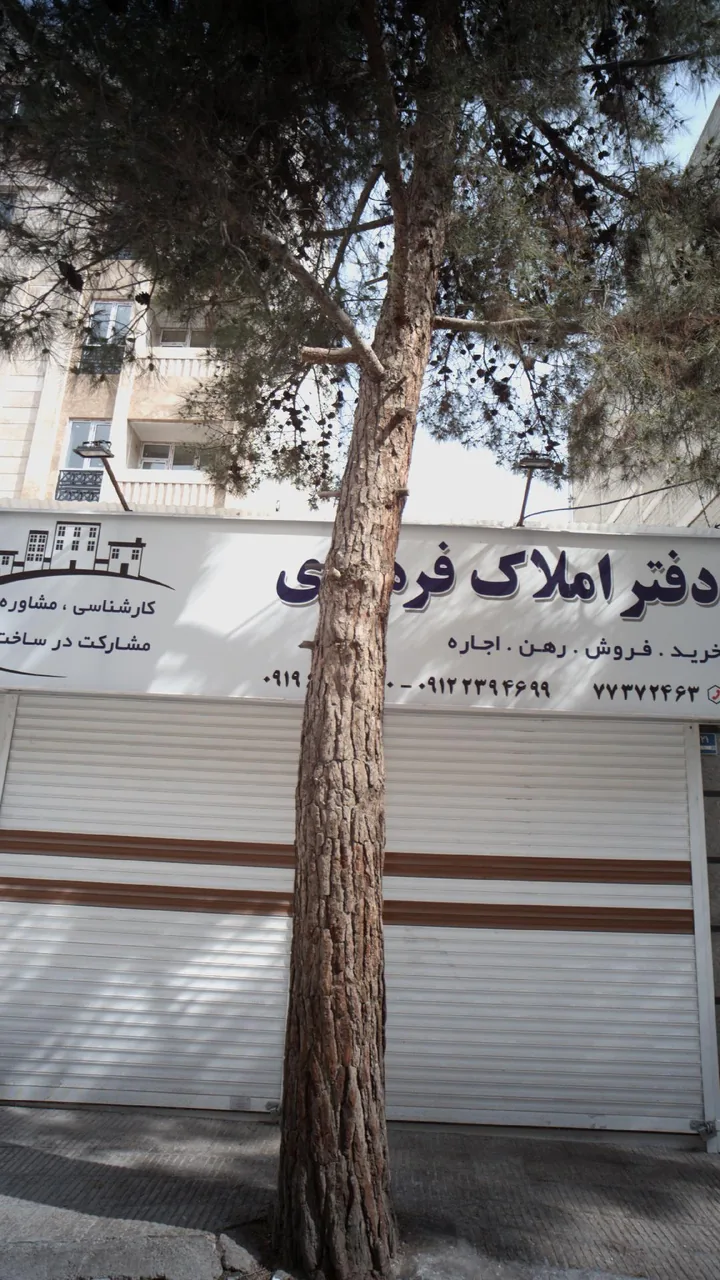دفتر املاک - تصویر 3