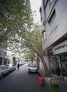 مشاورین املاک امیر