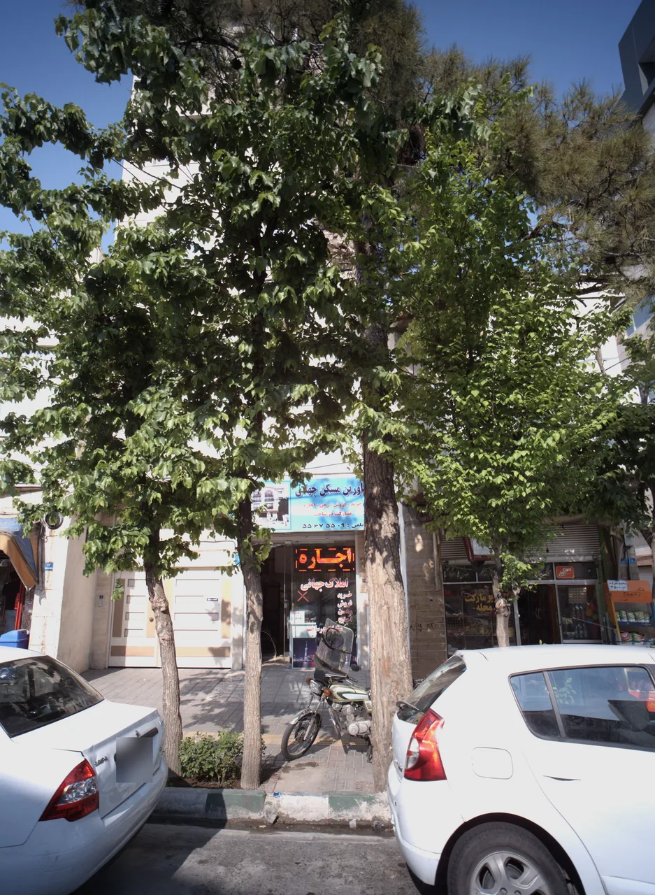 مشاورین املاک جهانی