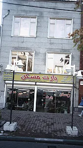 پارت مسکن