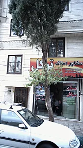 املاک توکل