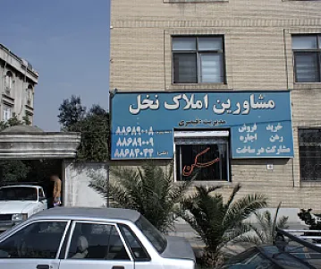 مشاورین املاک نخل