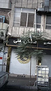 مشاورین املاک گلها