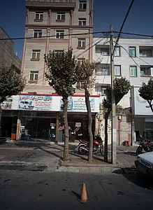 مشاورین املاک شباهنگ