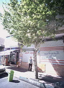 دفتر معاملات حسینی نژاد