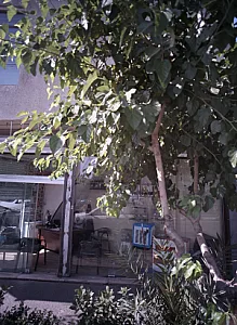 مشاور املاک