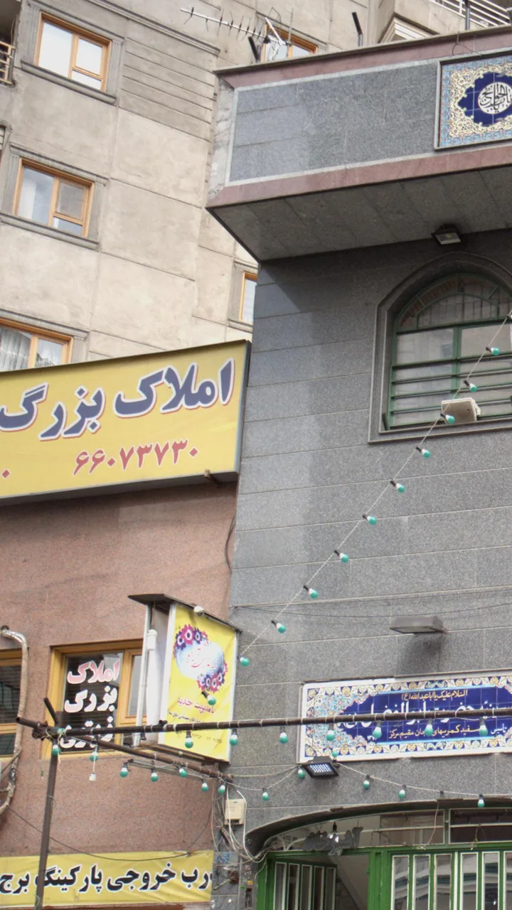املاک بزرگ زیتون - تصویر 2