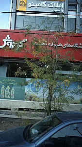کامینو