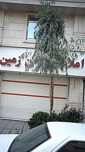املاک ایران زمین