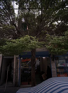 املاک همشهری