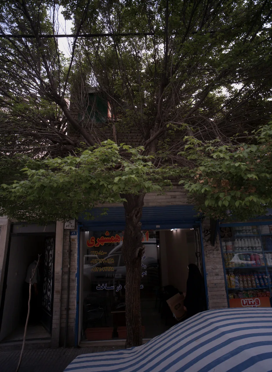 املاک همشهری