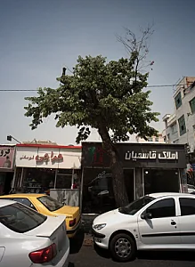 املاک قاسمیان