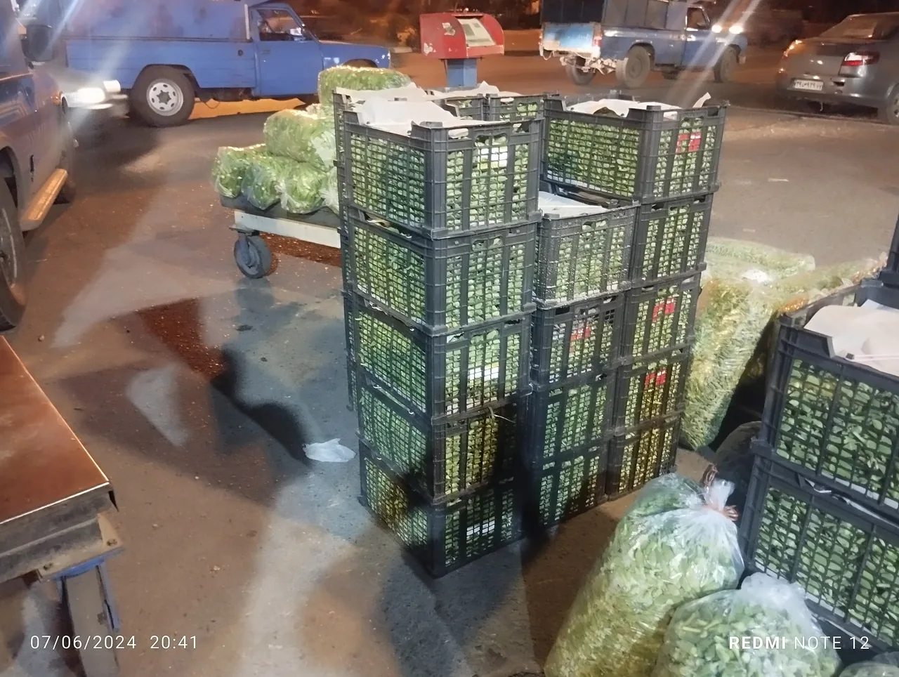 بازرگانی و حق العمل کاری قربانی - تصویر 2