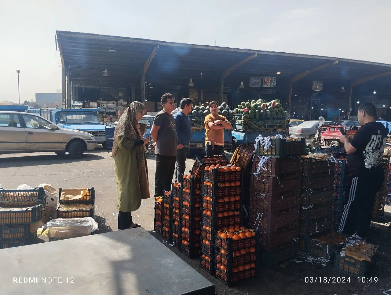 بازرگانی و حق العمل کاری قربانی - تصویر 4