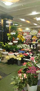 گلفروشی مینیاتور