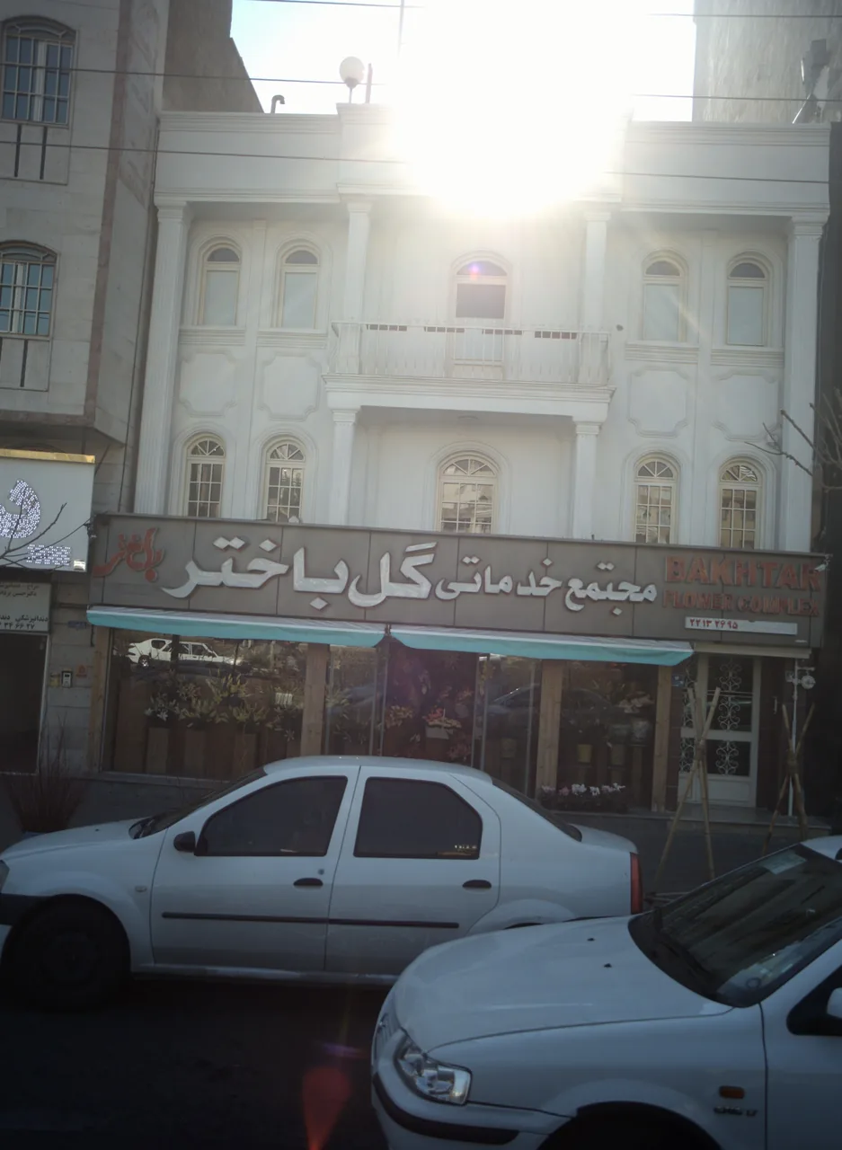 گل باختر
