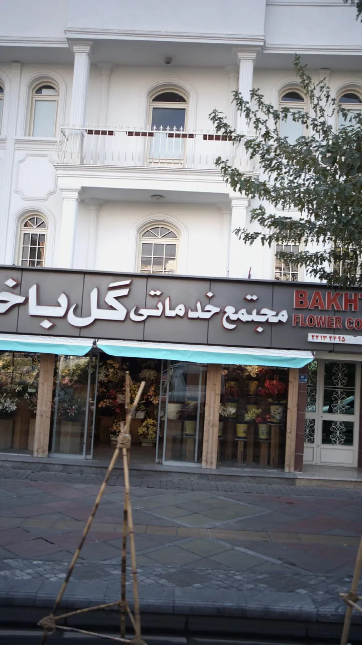 گل باختر - تصویر 2
