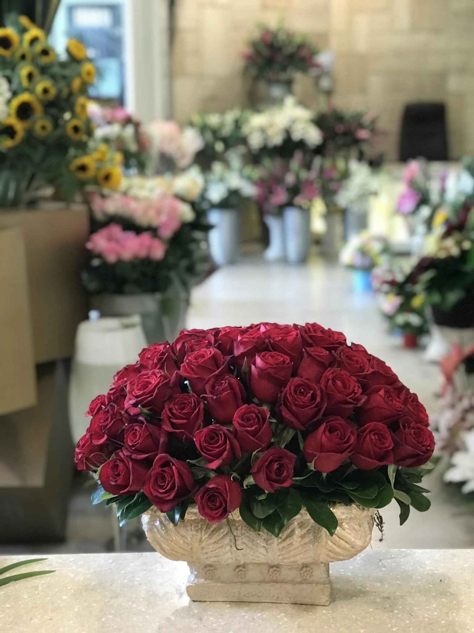 گل فروشی سیکاس
