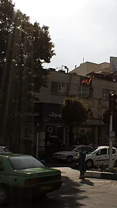 گل ملودی