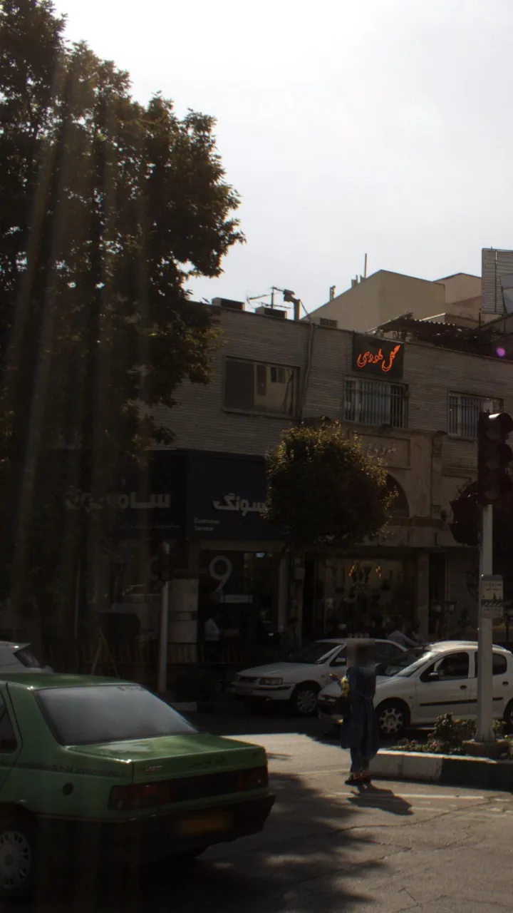 گل ملودی