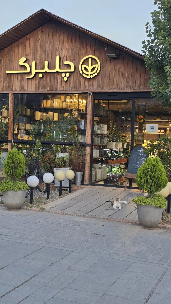 گل چلبرگ - گل‌فروشی در تهران - تصویر 2