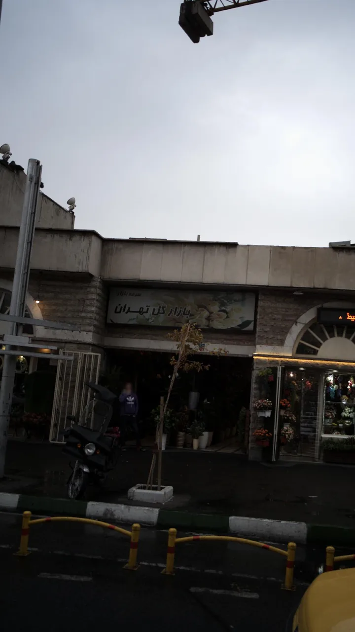 بازار گل تهران(سرمه بازار) - تصویر 4