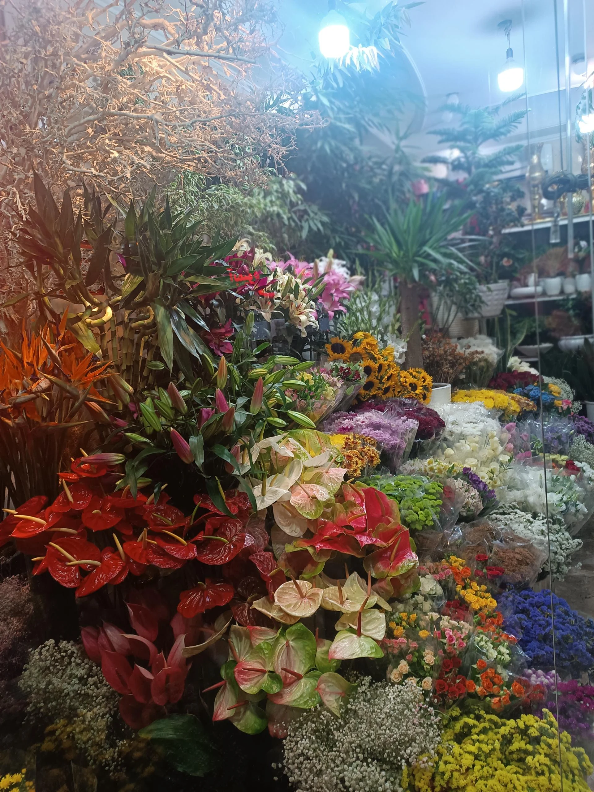 گلفروشی امپراطور