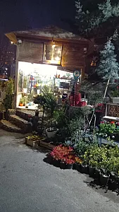 گل فروشی آتی ساز