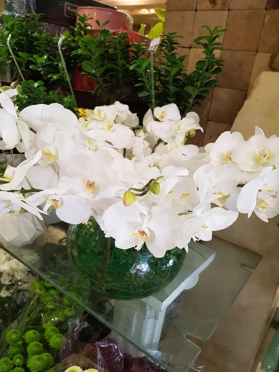 گل اسپرینگ - تصویر 3