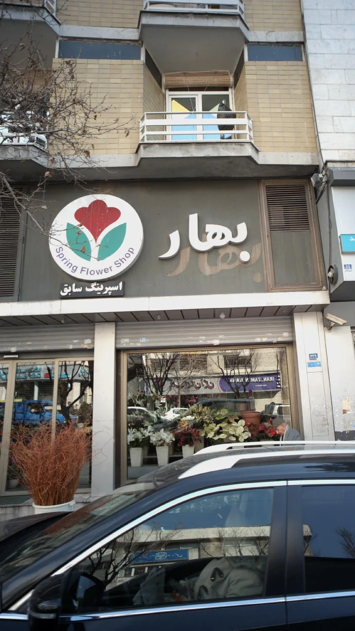 گل اسپرینگ - تصویر 5