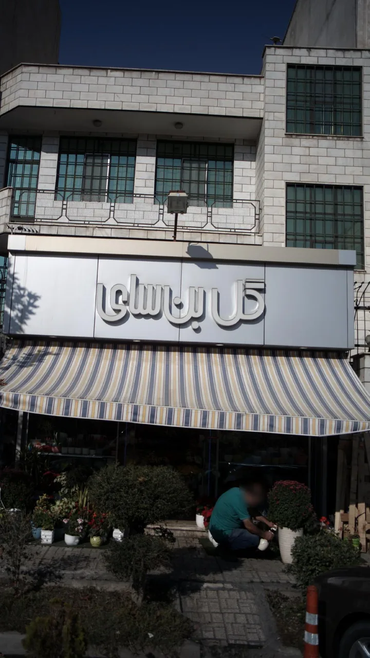 گل سرای شادی - تصویر 2