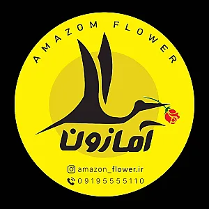 گل فروشی اینترنتی آمازون (کاشانی)