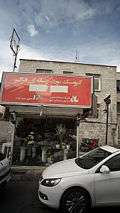 کیوسک گل فروشی