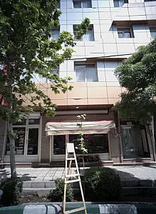 گل فروشی مارانتا