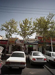 گلسرای نسترن