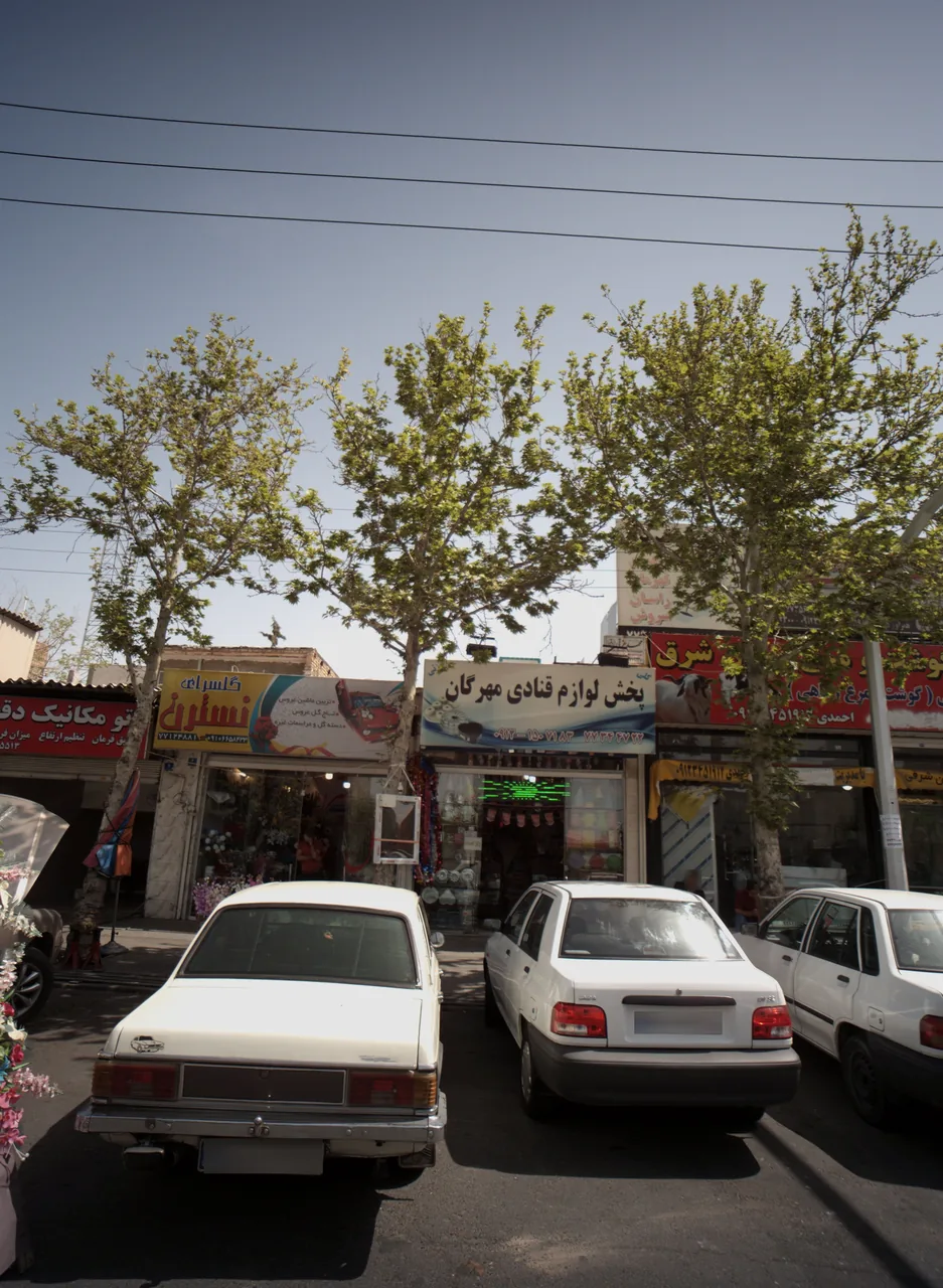 گلسرای نسترن