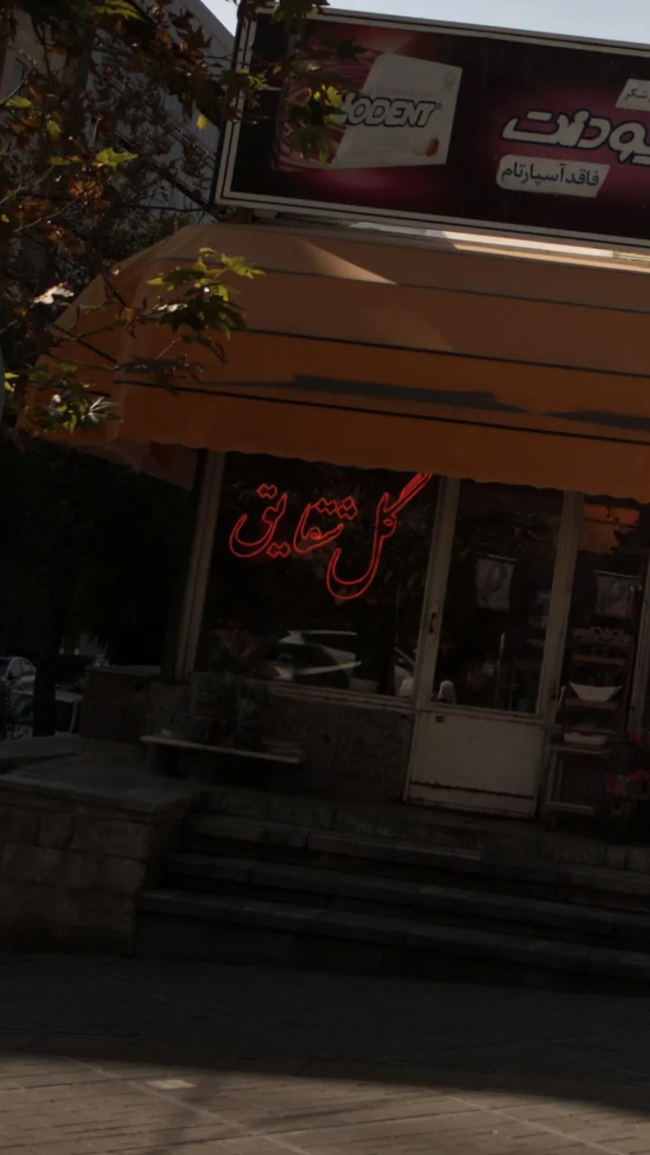 گل شقایق - تصویر 2