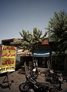 گل فروشی مهدیه