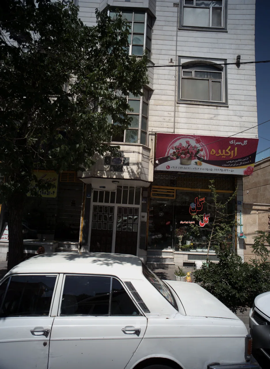 گل سرای ارکیده