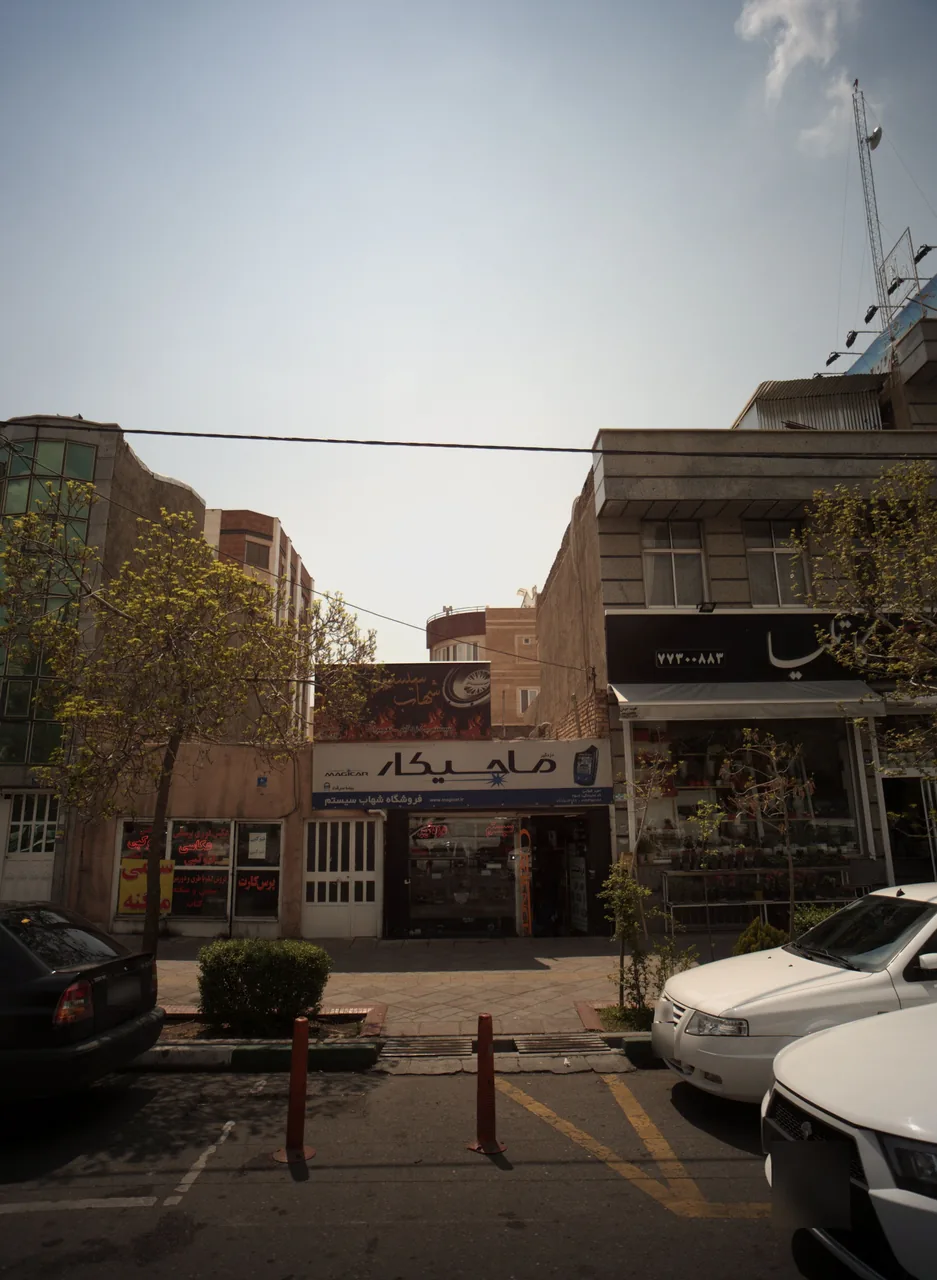 گل فروشی کاتلیا