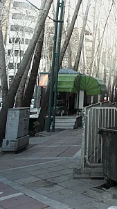 گل فروشی