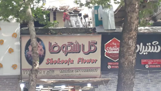گل فروشی همانتوس
