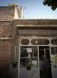 گل فروشی