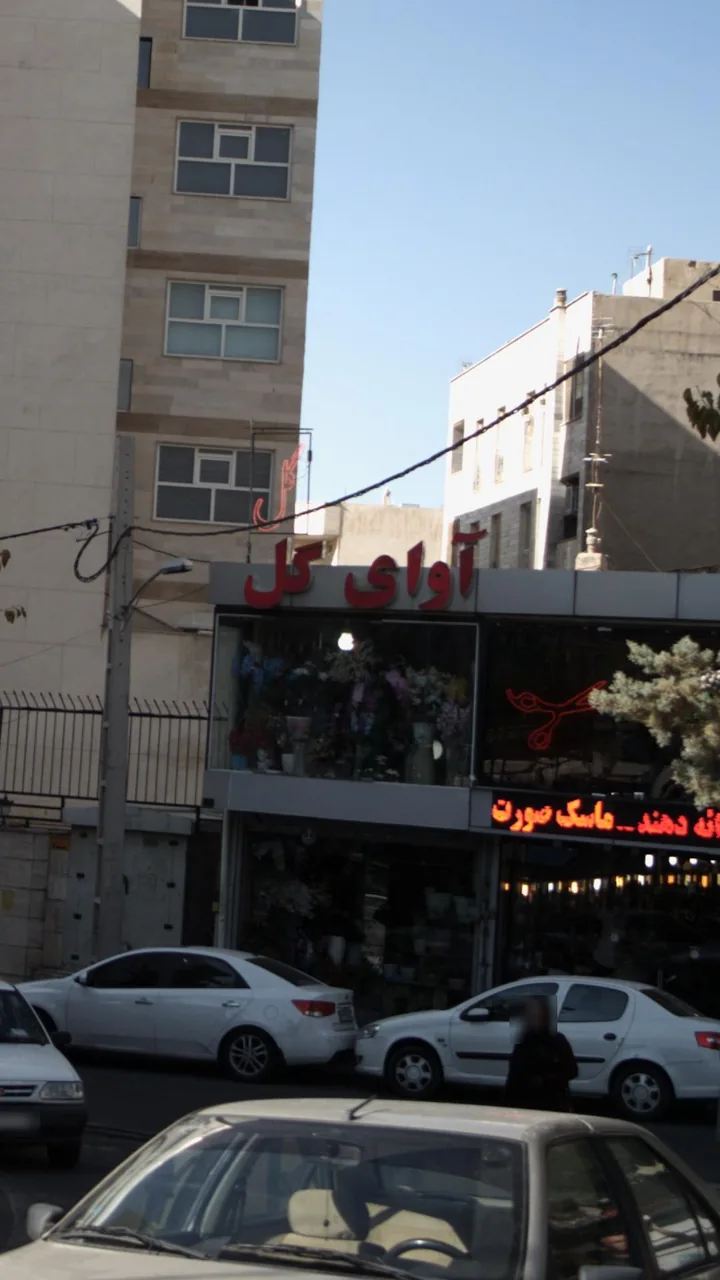 آوای گل
