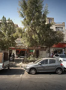گلستان زیبا